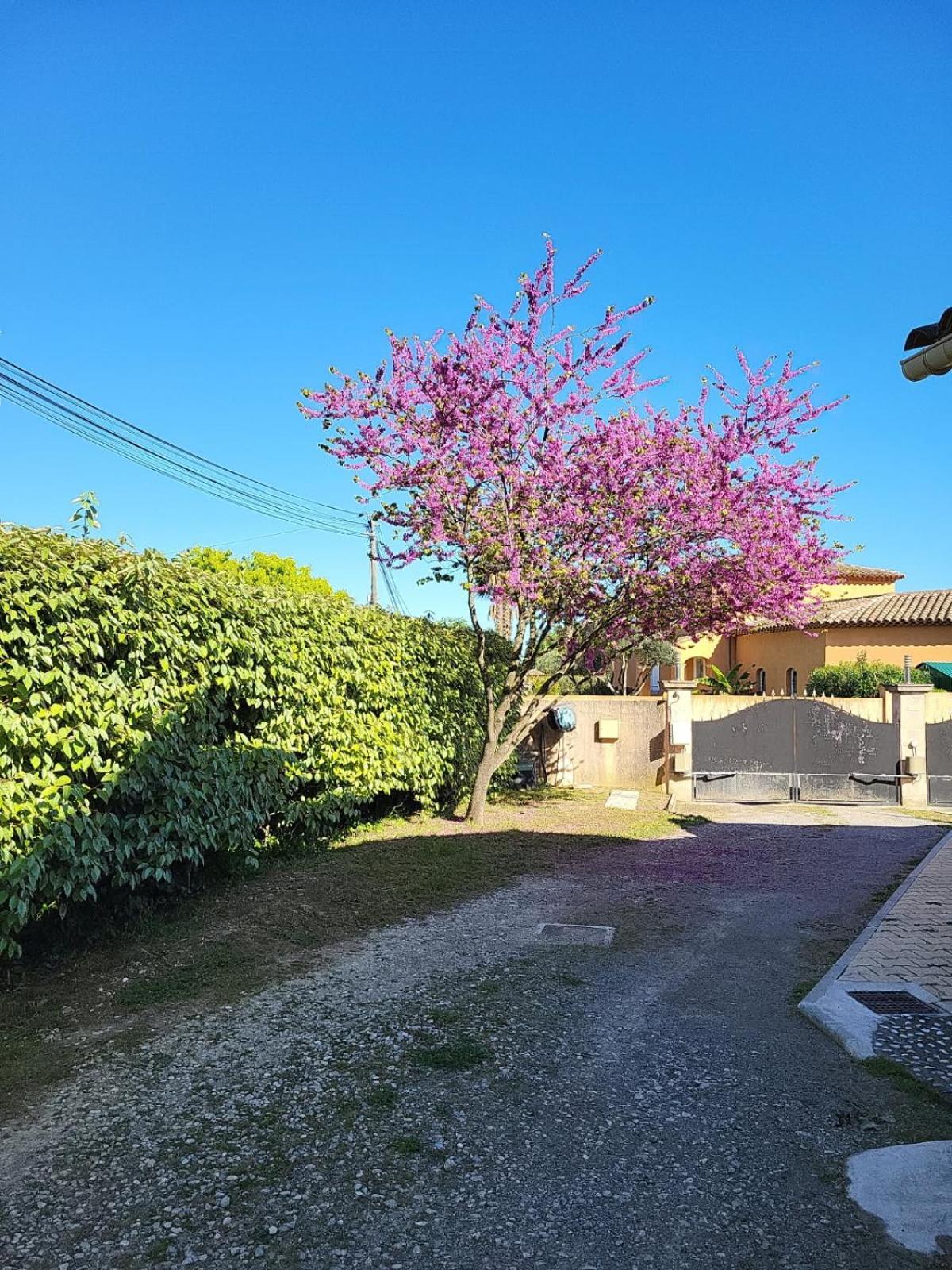 La Toscana Roquebrune Sur Argens Bagian luar foto